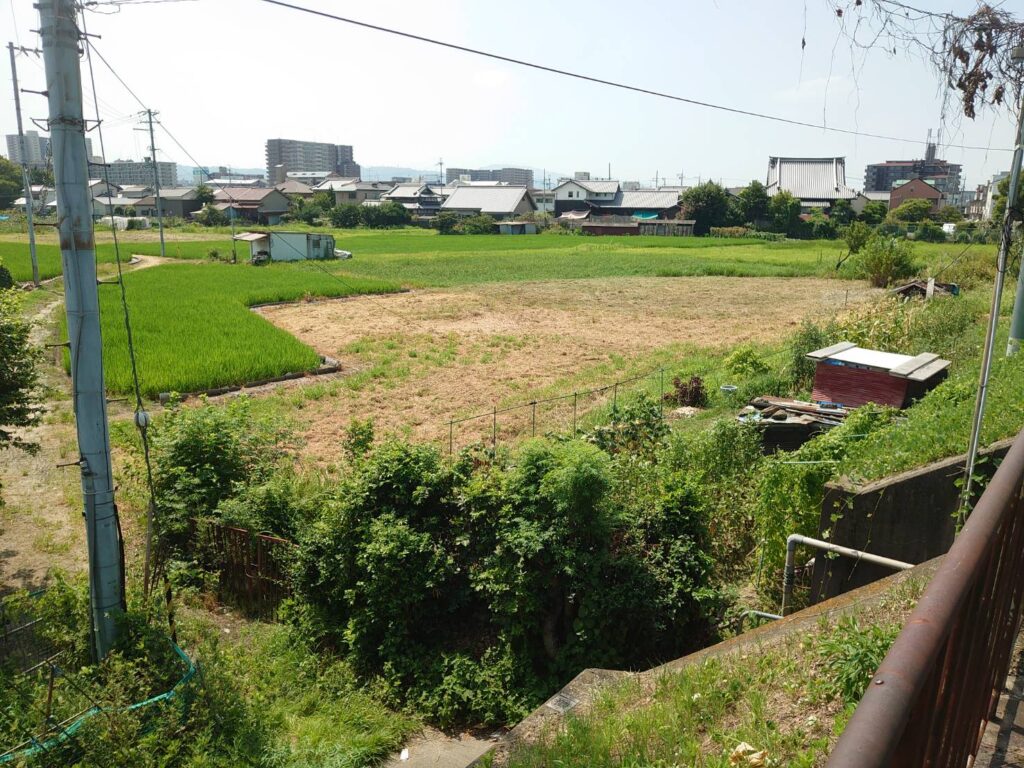 休耕地　作業後