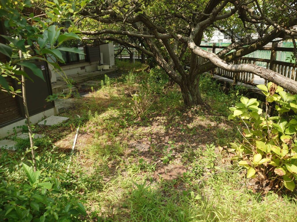 民家　作業前
